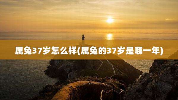 属兔37岁怎么样(属兔的37岁是哪一年)