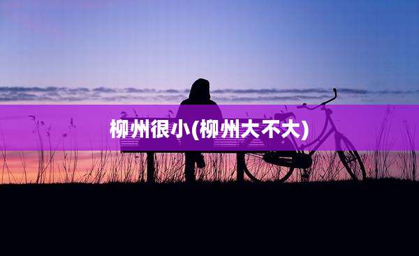 柳州很小(柳州大不大)