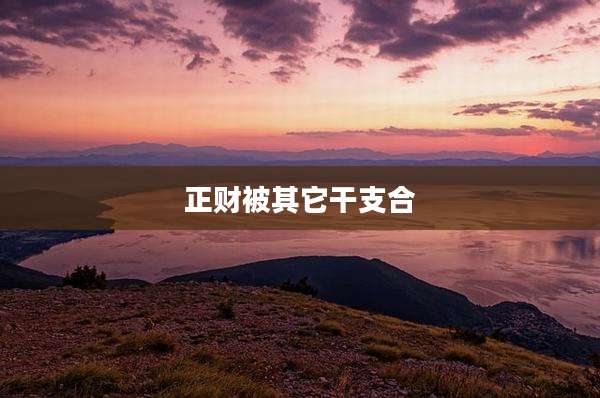 正财被其它干支合