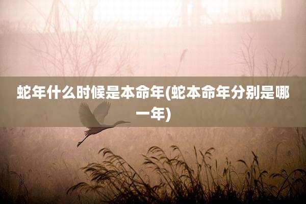 蛇年什么时候是本命年(蛇本命年分别是哪一年)