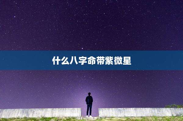 什么八字命带紫微星