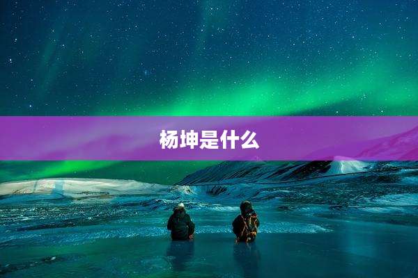 杨坤是什么