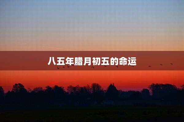 八五年腊月初五的命运