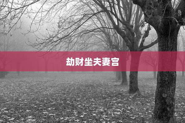 劫财坐夫妻宫