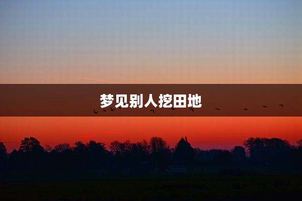 梦见别人挖田地