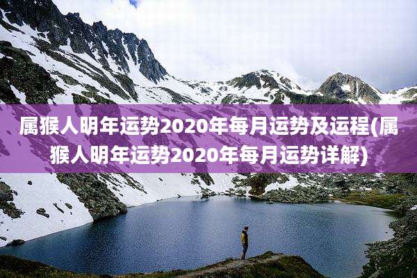 属猴人明年运势2020年每月运势及运程(属猴人明年运势2020年每月运势详解)