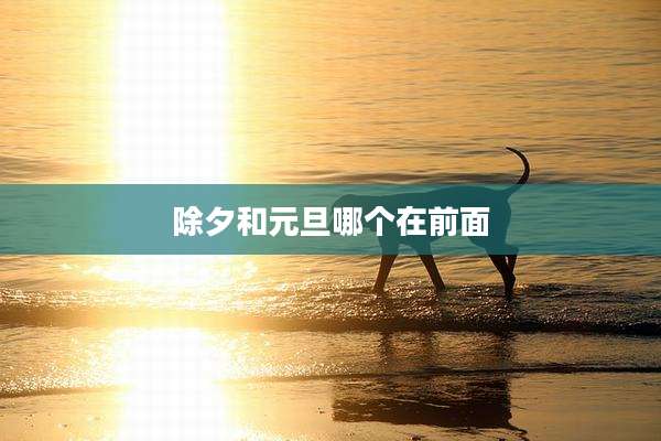 除夕和元旦哪个在前面
