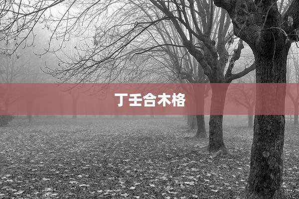 丁壬合木格