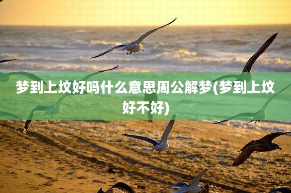 梦到上坟好吗什么意思周公解梦(梦到上坟好不好)