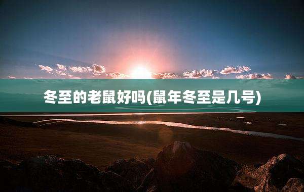 冬至的老鼠好吗(鼠年冬至是几号)