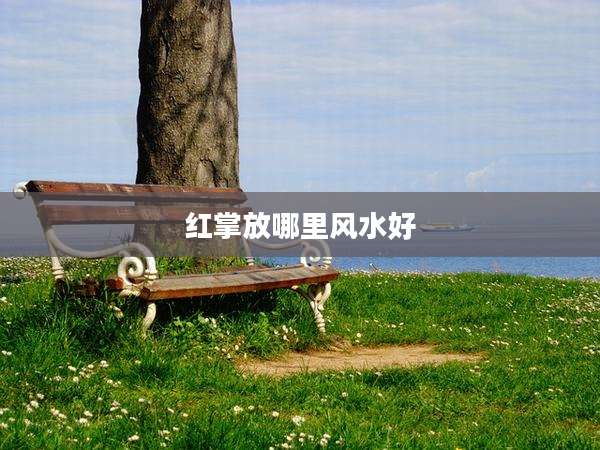 红掌放哪里风水好