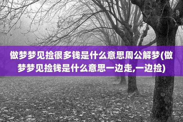 做梦梦见捡很多钱是什么意思周公解梦(做梦梦见捡钱是什么意思一边走,一边捡)
