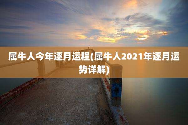 属牛人今年逐月运程(属牛人2021年逐月运势详解)
