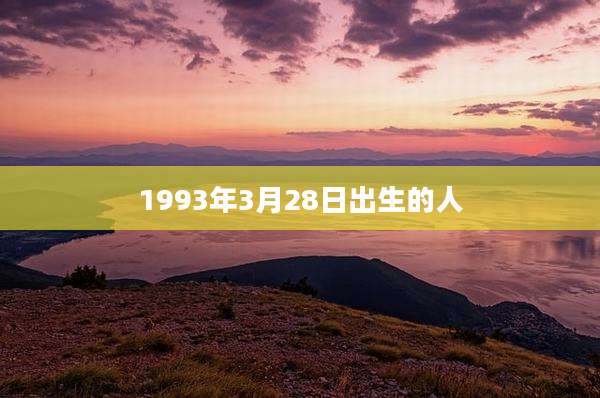 1993年3月28日出生的人