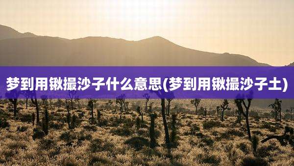 梦到用锹撮沙子什么意思(梦到用锹撮沙子土)
