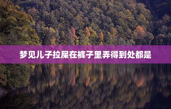 梦见儿子拉屎在裤子里弄得到处都是