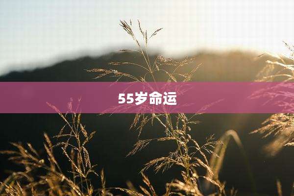 55岁命运
