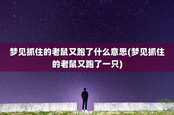 梦见抓住的老鼠又跑了什么意思(梦见抓住的老鼠又跑了一只)