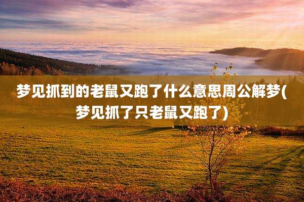 梦见抓到的老鼠又跑了什么意思周公解梦(梦见抓了只老鼠又跑了)