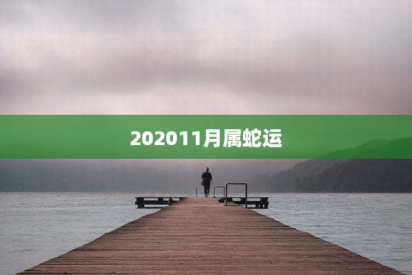 202011月属蛇运