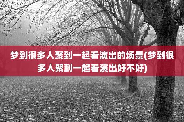 梦到很多人聚到一起看演出的场景(梦到很多人聚到一起看演出好不好)