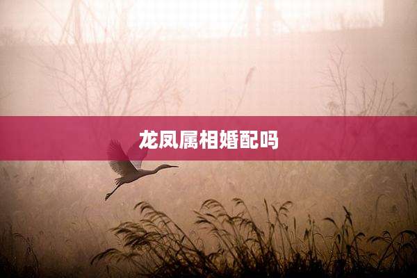 龙凤属相婚配吗