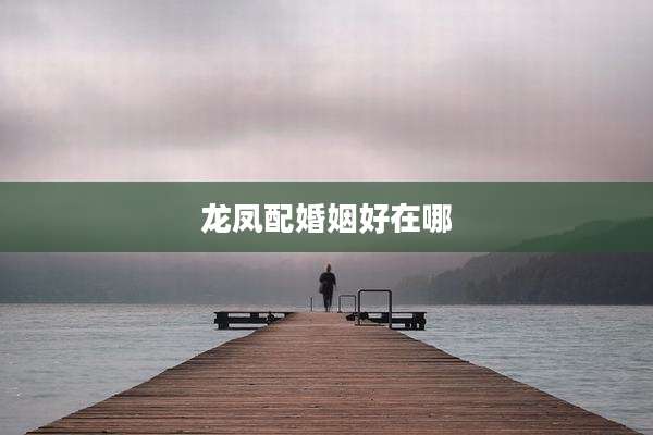 龙凤配婚姻好在哪