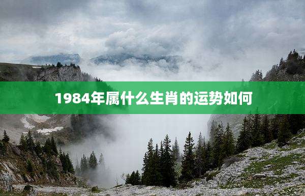 1984年属什么生肖的运势如何