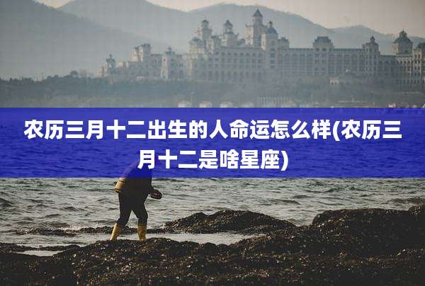 农历三月十二出生的人命运怎么样(农历三月十二是啥星座)
