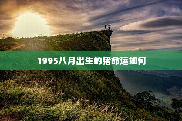 1995八月出生的猪命运如何