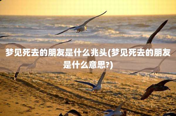 梦见死去的朋友是什么兆头(梦见死去的朋友是什么意思?)