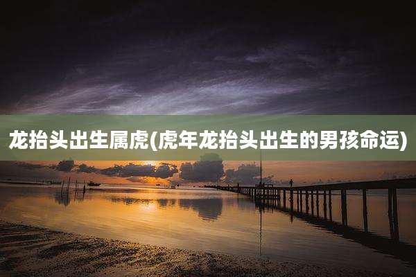 龙抬头出生属虎(虎年龙抬头出生的男孩命运)