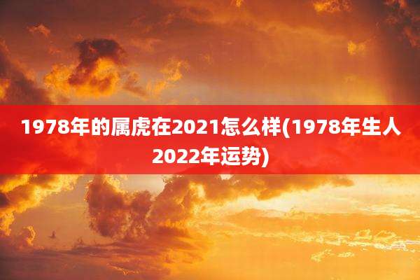 1978年的属虎在2021怎么样(1978年生人2022年运势)
