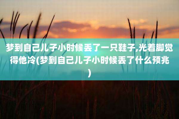 梦到自己儿子小时候丢了一只鞋子,光着脚觉得他冷(梦到自己儿子小时候丢了什么预兆)
