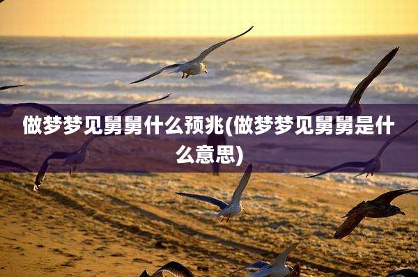 做梦梦见舅舅什么预兆(做梦梦见舅舅是什么意思)