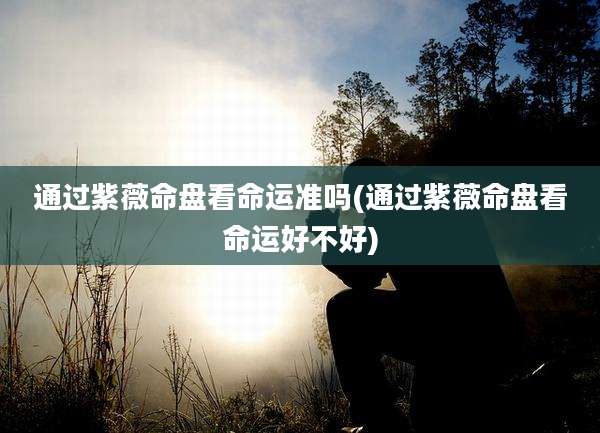 通过紫薇命盘看命运准吗(通过紫薇命盘看命运好不好)
