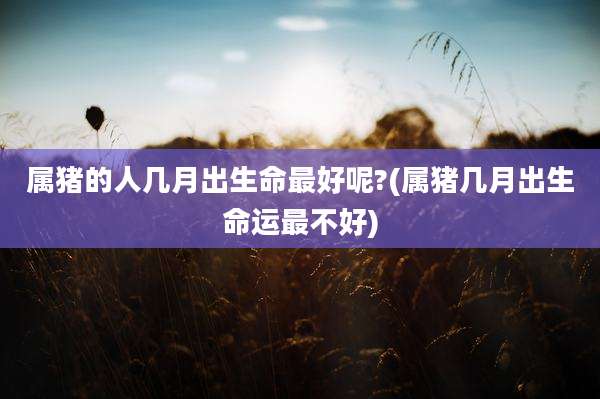 属猪的人几月出生命最好呢?(属猪几月出生命运最不好)