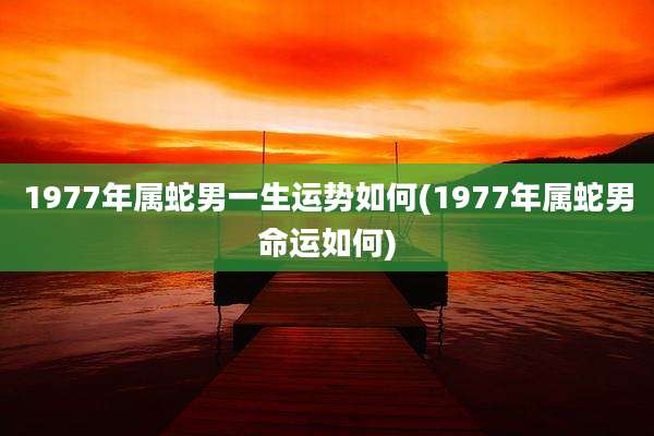 1977年属蛇男一生运势如何(1977年属蛇男命运如何)