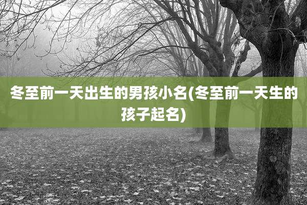 冬至前一天出生的男孩小名(冬至前一天生的孩子起名)