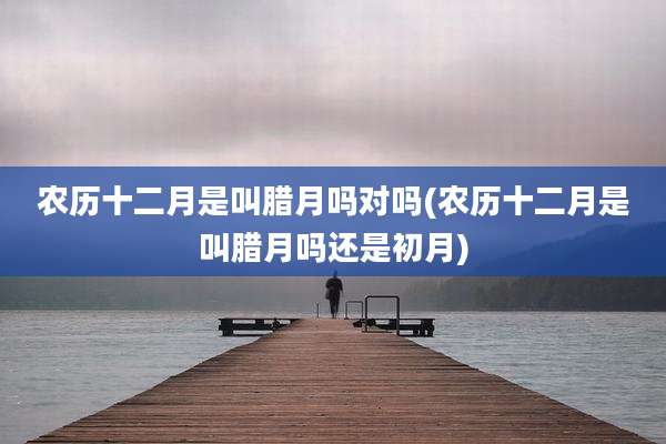 农历十二月是叫腊月吗对吗(农历十二月是叫腊月吗还是初月)