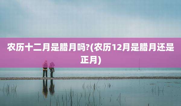 农历十二月是腊月吗?(农历12月是腊月还是正月)