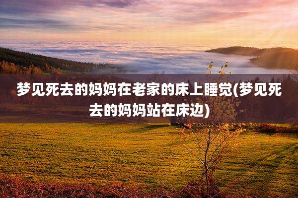 梦见死去的妈妈在老家的床上睡觉(梦见死去的妈妈站在床边)