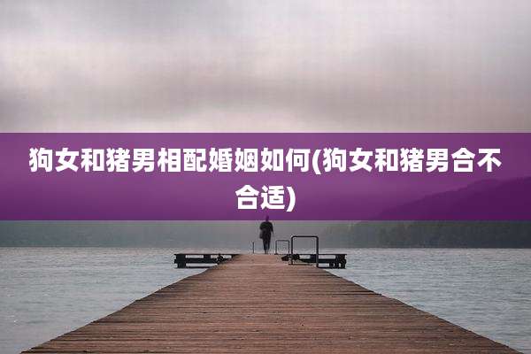 狗女和猪男相配婚姻如何(狗女和猪男合不合适)