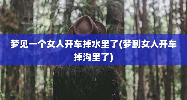 梦见一个女人开车掉水里了(梦到女人开车掉沟里了)