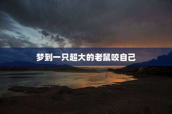梦到一只超大的老鼠咬自己