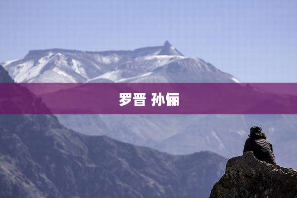 罗晋 孙俪