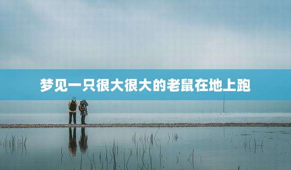 梦见一只很大很大的老鼠在地上跑