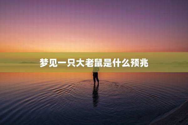 梦见一只大老鼠是什么预兆