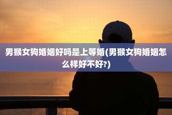 男猴女狗婚姻好吗是上等婚(男猴女狗婚姻怎么样好不好?)