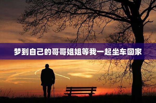 梦到自己的哥哥姐姐等我一起坐车回家